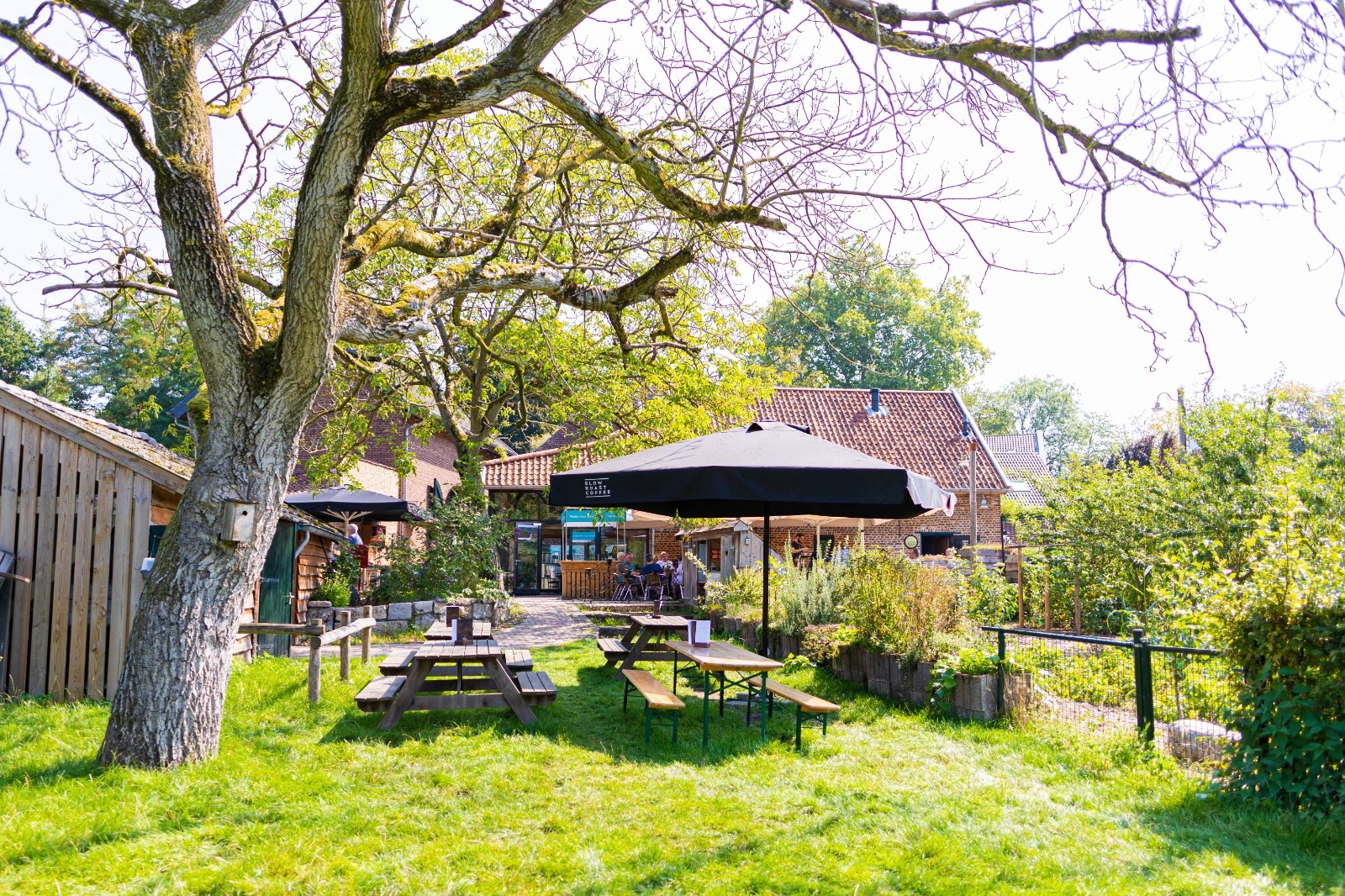 Limburgse Medley Middag op 17 mei